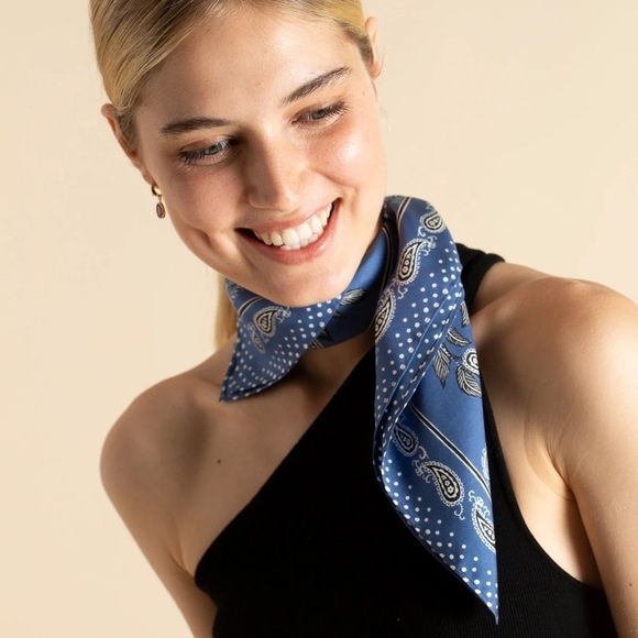 Inoui Editions Zack Zebra 100 % Silk Scarf Blue - Picture 3 of 13